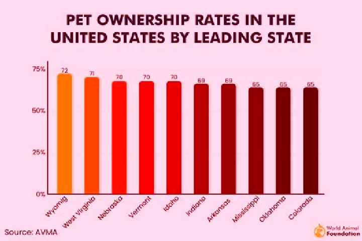 100 Jokers slot game
