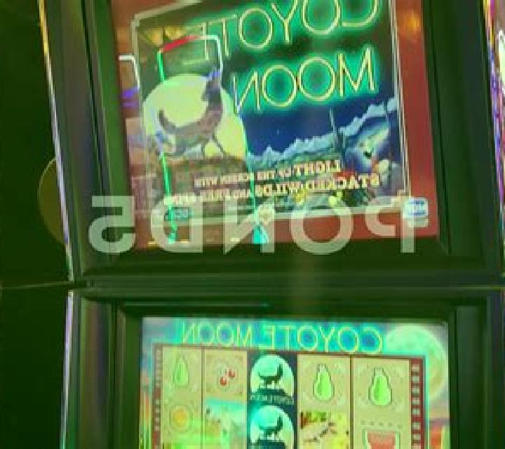 Casa de Lama slot game