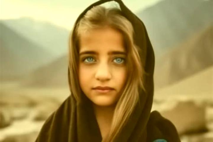 Fields of Clover slot