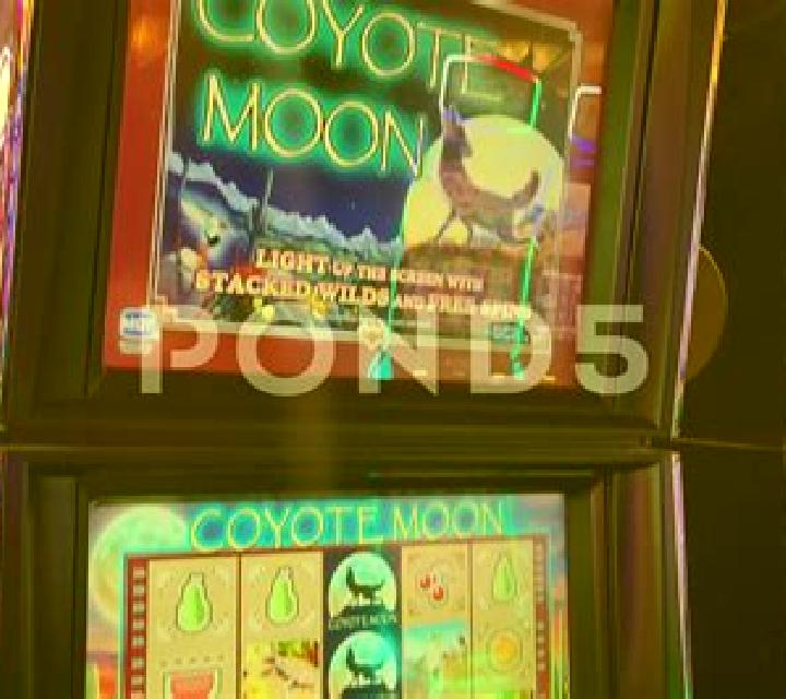 Hot Cash (IGT) slot game