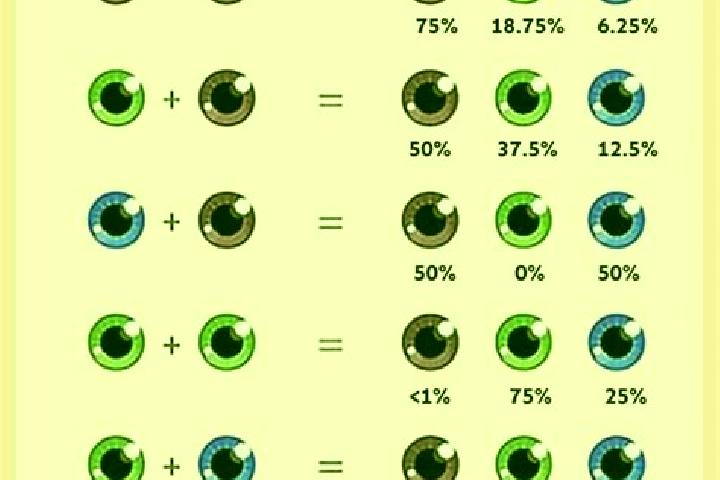 Jungle Queen (Greentube) online slot