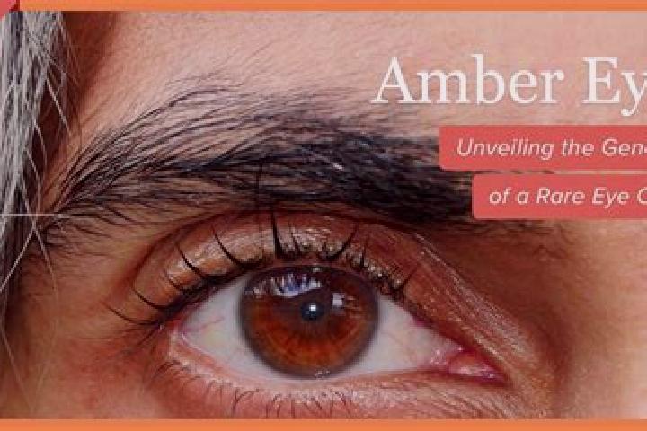 Neko Treasures online slot