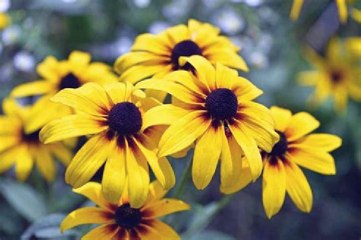 Outlawed Heroes online slot