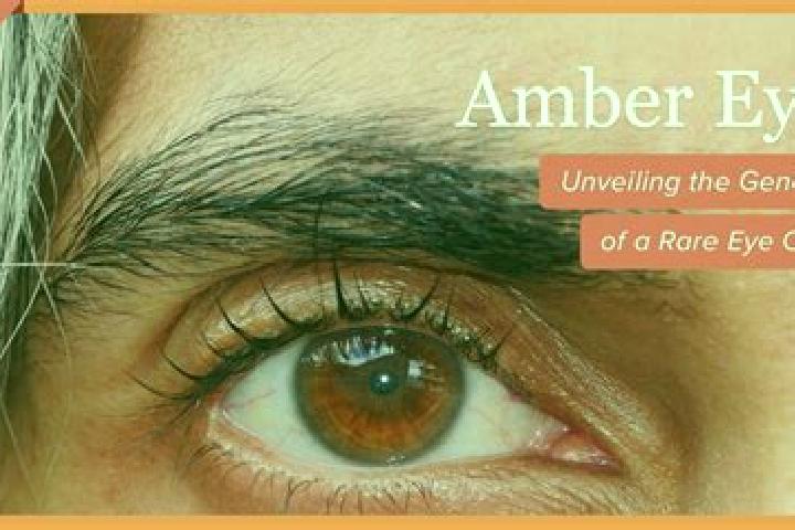 Princess of Elysium slot game