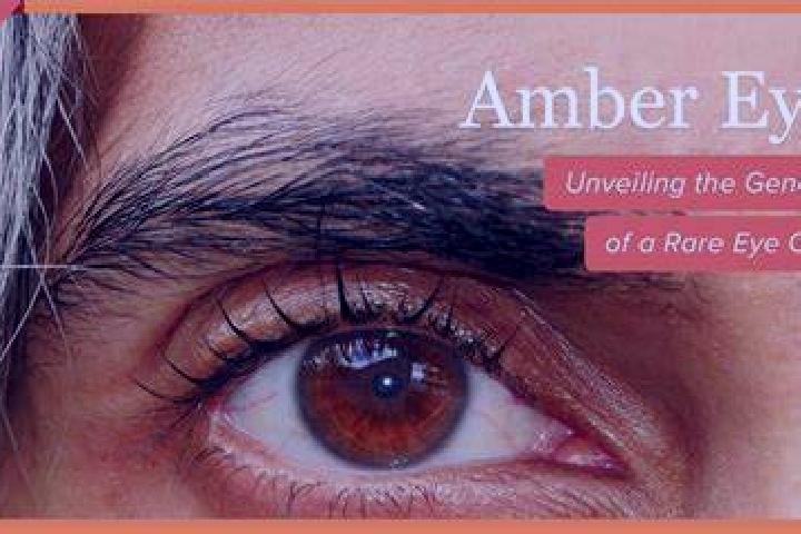 Sherlock to Scratch a Killer slot