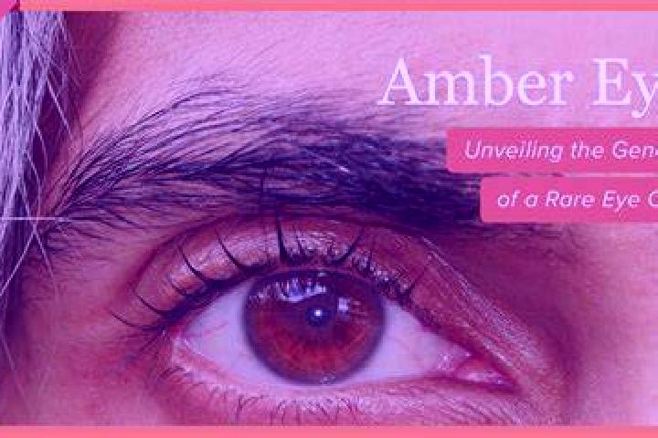 Soccer Hot 40 Free Spins online slot