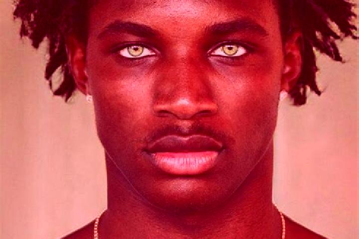 The Dark Knight Rises (Microgaming) online slot
