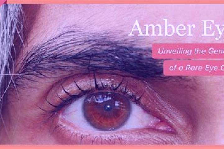 The Golden Sail slot machine
